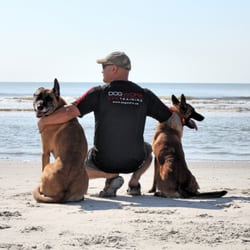DogWorx - Dog Training Savannah - Owner and head trainer Enrique takes pride in helping you and your dog reconnect and become family