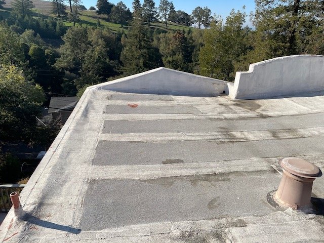 Slide of Rockin' Roofers