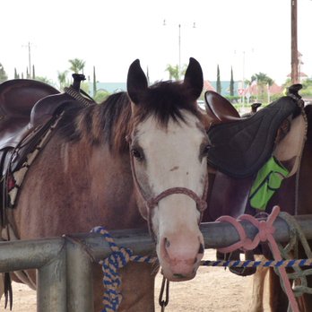 Wine Country Trails by Horseback - Tours Near Me - Temecula, California Wine Country Trails by Horseback - Tours Near Me - Temecula, California