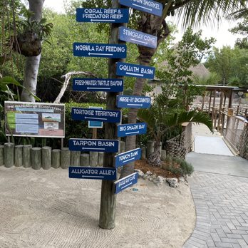Florida Keys Aquarium Encounters - Aquariums Near Me - Marathon, Florida