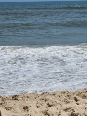 Assateague Island National Seashore by null