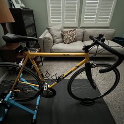 Bill's Bike Shop - My almost 30-year-old KHS Flite 500 steel frame bike is working great again!