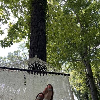 The Mad Herbalist - They even had a hammock to relax in the trees - Tea Rooms Near Me - Clarksville, Tennessee