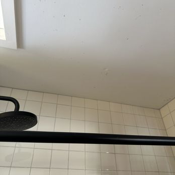 Desolation Hotel - Hope Valley - Looks like black mold in the bathroom ceiling - Resorts Near Me - Hope Valley, California