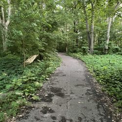 Rosie's Park - The anti-Harrington Trails. For an inner ring suburb they somehow put a decent little foray into nature here