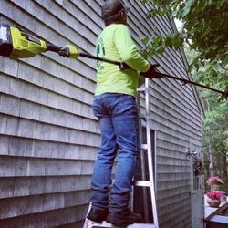 Grandson’s Yard Work - Small Tree Work, Limb Trimming