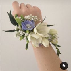 Leis de Buds - What we hoped for...