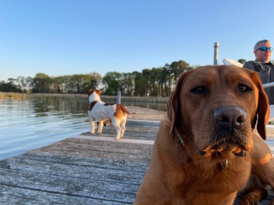 Inn at Huntingfield Creek and Getaway Cottages by null