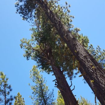Sugar Pine Point State Park - Pines. - Parks Near Me - Meeks Bay, California