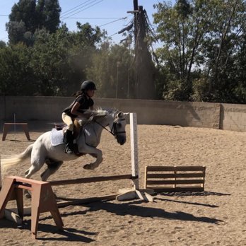 Blue Heart Equestrian - Horseback Riding Near Me