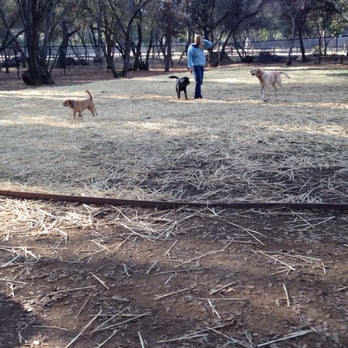 Hacienda Dog Park - Enzo enjoying the new dog park in Cameron Park. - Dog Parks Near Me - Cameron Park, California Hacienda Dog Park - Enzo enjoying the new dog park in Cameron Park. - Dog Parks Near Me - Cameron Park, California