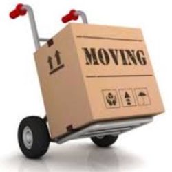 Brandon & Sons Moving
