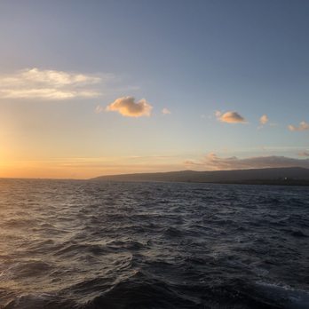 Capt Andy's - Boat Tours Near Me - Ele'ele, Hawaii