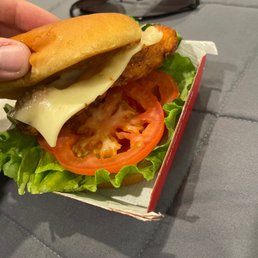 Spicy Deluxe Sandwich