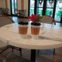 Photo of 12 Stones Coffee