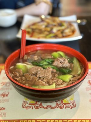 Lotus Garden by null