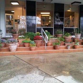 Precision Landscaping - a display of potted plants - Snow Removal Near Me - Philadelphia, Pennsylvania