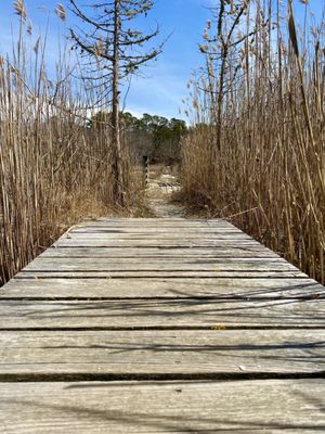 Cape Cod Museum Of Natural History by null