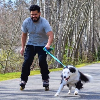 Keeping Up With Jack - Fitz thoroughly enjoying his Ruff N Roll! - Dog Walkers Near Me - Bothell, Washington Keeping Up With Jack - Fitz thoroughly enjoying his Ruff N Roll! - Dog Walkers Near Me - Bothell, Washington
