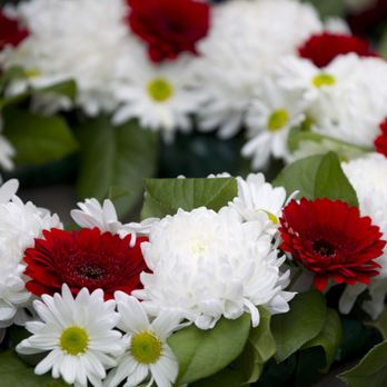 New Leaf Cremation - Cremation Services Near Me - Island Park, New York New Leaf Cremation - Cremation Services Near Me - Island Park, New York