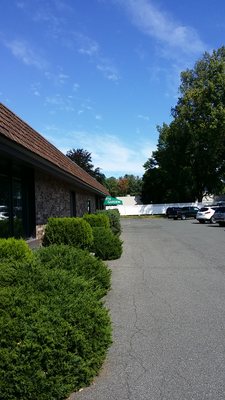 North Garden by null