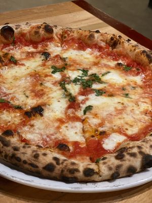 Cane Rosso by null