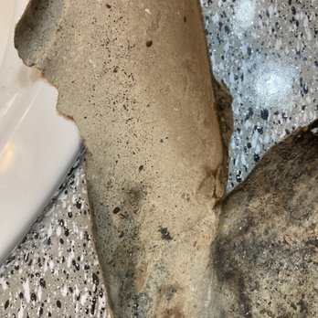 The Brook on Bay Area - Mold on the sheet rock paper - Apartments Near Me - Webster, Texas