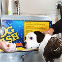 Concord Touchless Car Wash