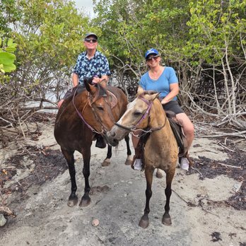 Carolina Corral - One happy family. - Horseback Riding Near Me - Saint John, Virgin Islands