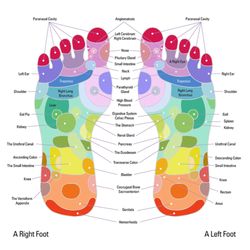 YaYa Foot Spa Downtown Waxahachie - Foot Reflexology Chart