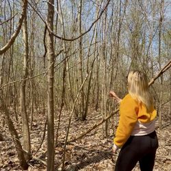 Eagle Bluffs Conservation Area