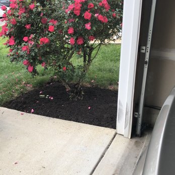 Divine Landscaping - Front landscaping - Landscaping Near Me