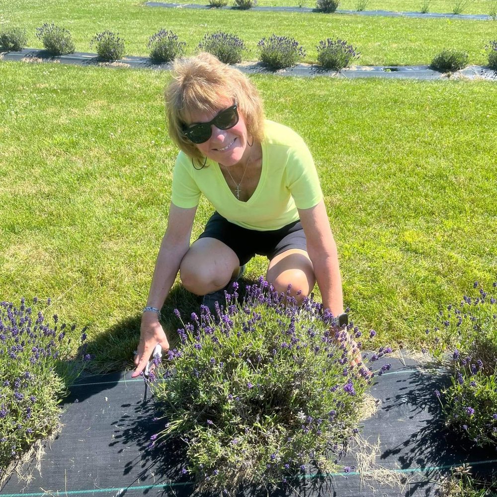 My mom picking her lavender My mom picking her lavender