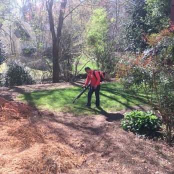 Tree Care Marietta - Tree Services Near Me Tree Care Marietta - Tree Services Near Me