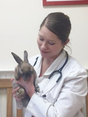 Atlantic Veterinary Hospital 10 Ocean Ave Marblehead Ma Veterinarians Mapquest