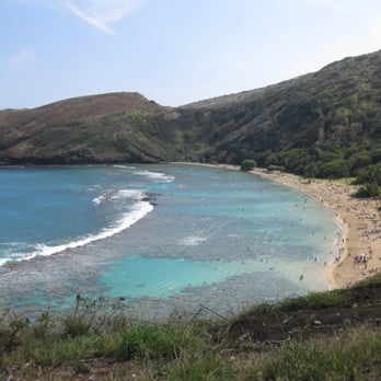 1. Nelson's Snorkel Tours
