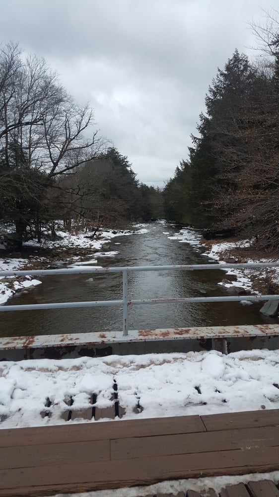 Frost Valley YMCA Logo