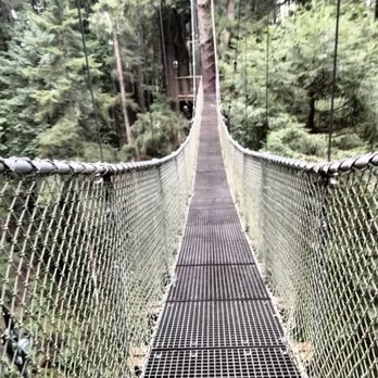 Sequoia Park Zoo - You're 100 feet above the ground. Don't worry, it's perfectly safe (and perfectly worth it!) - Zoos Near Me - Eureka, California