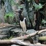 Photo of Milwaukee County Zoo