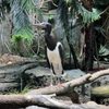 Milwaukee County Zoo gift card