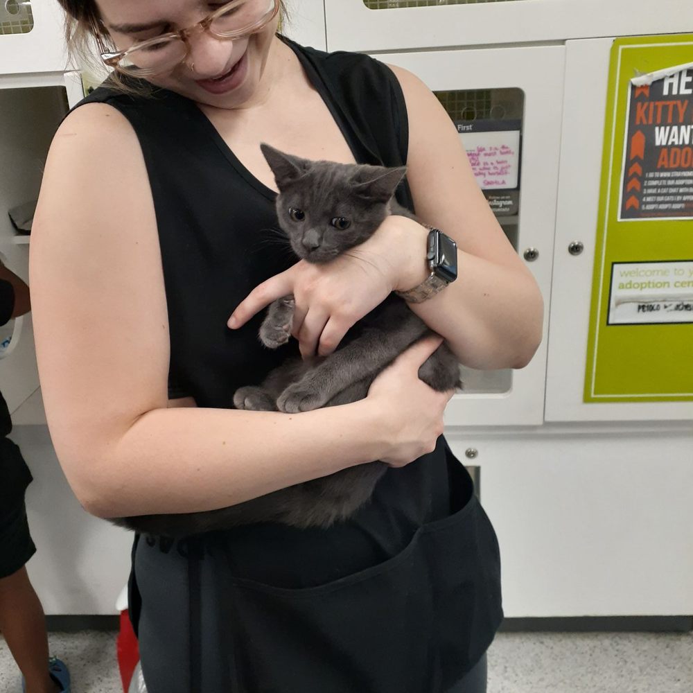 Petco - Bella is the perfect person for this job - Pet Stores Near Me - Los Angeles, California Petco - Bella is the perfect person for this job - Pet Stores Near Me - Los Angeles, California