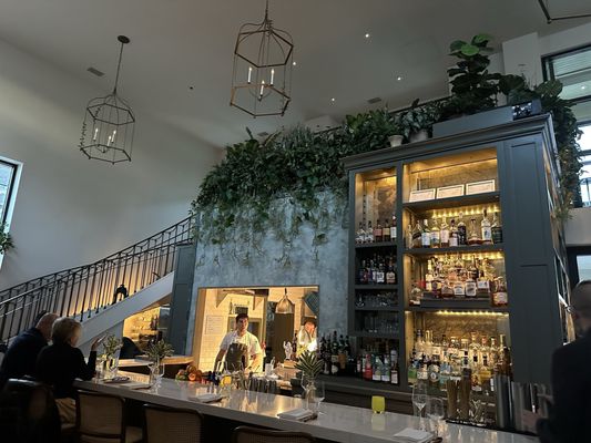 Wild Common by null Wild Common by null