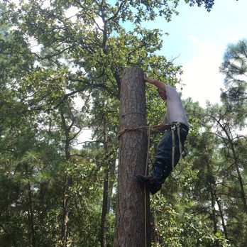 Middle Earth Outdoor Services - Tree climbing specialists . Removing hazardous trees! - Tree Services Near Me Middle Earth Outdoor Services - Tree climbing specialists . Removing hazardous trees! - Tree Services Near Me