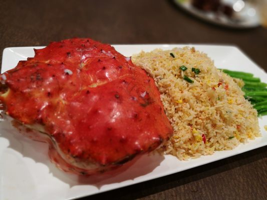 Captain's Catch by null