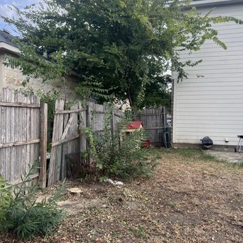 Austin’s Tree Doctor - Before - Tree Services Near Me - Pflugerville, Texas