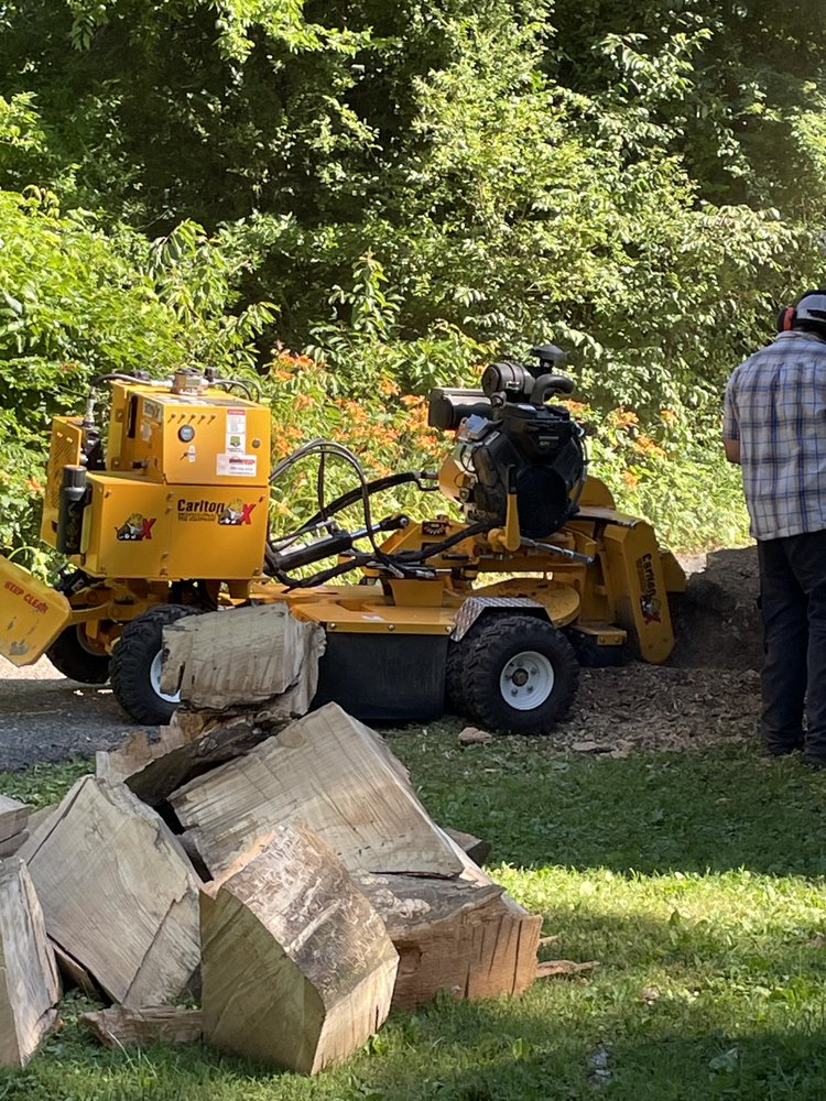 Chesapeake Stump Grinding - tree service in St Leonard, MD