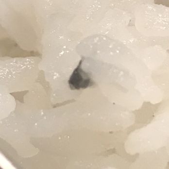Sik Do Rak - ?????????????? - Korean Near Me - Honolulu, Hawaii