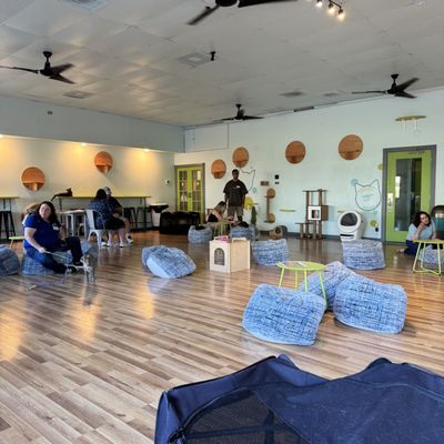 El Gato Coffeehouse by null