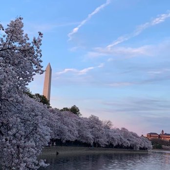 Tidal Basin - Lakes Near Me - Washington, DC, District of Columbia