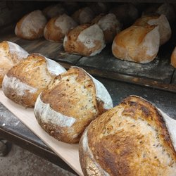 Magpie's Bakery - multigrain Sourdough. Fresh out of the oven. One of Magpie's Classics and apart of their daily bake.